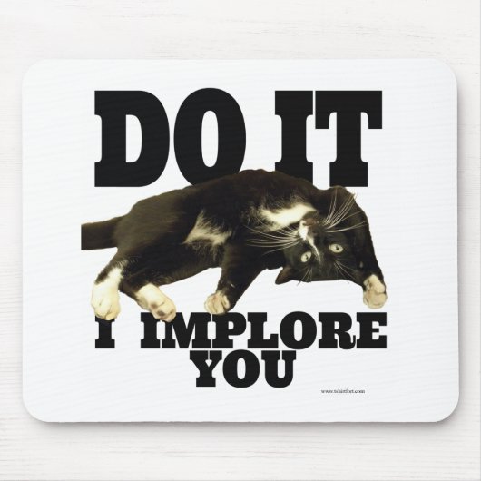 Ich empfehle Ihnen Motivierend Cat Foto Sprichwort Mousepad (Vorne)