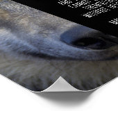 Ich entscheide mich nett zu sein, aber ich bin Fra Poster (Ecke)