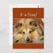 Ich entschuldige mich für Postkarte (Vorne/Hinten)