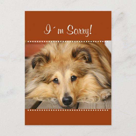 Ich entschuldige mich für Postkarte (Vorderseite)