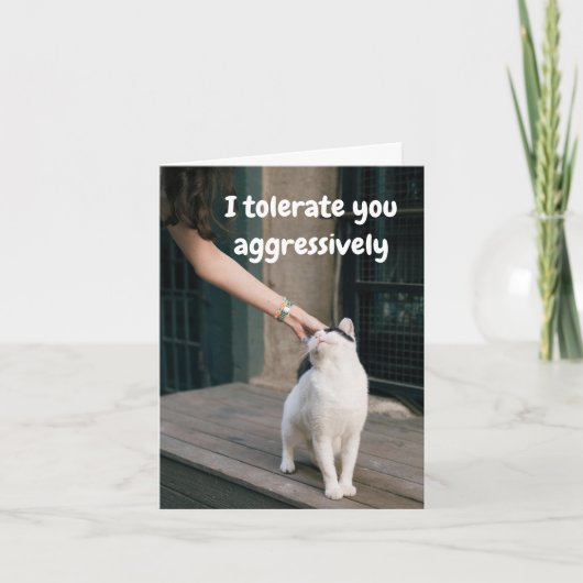 Ich ertrage dich lustig von der Katze Karte (Vorderseite)