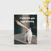 Ich ertrage dich lustig von der Katze Karte (Gelbe Blume)