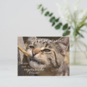 Ich esse nur vegetarische Mäuse... Postkarte (Stehend Vorderseite)