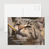 Ich esse nur vegetarische Mäuse... Postkarte (Vorne/Hinten)