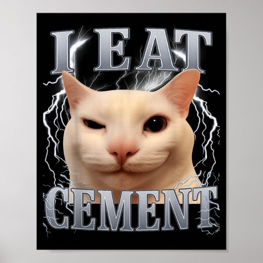 Ich esse Zement Dummer Katzen-Meme Lustige Männer Poster (Vorne)