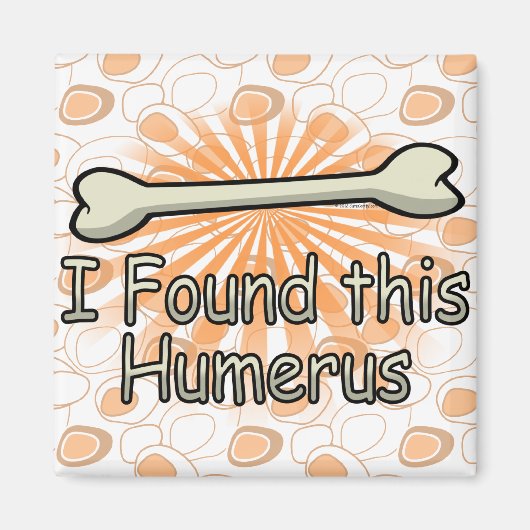 Ich fand diesen Humerusknochen, lustig Magnet (Vorne)
