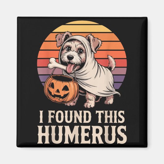 Ich fand dieses Humerus Halloween-Kostüm 2 Magnet (Vorne)