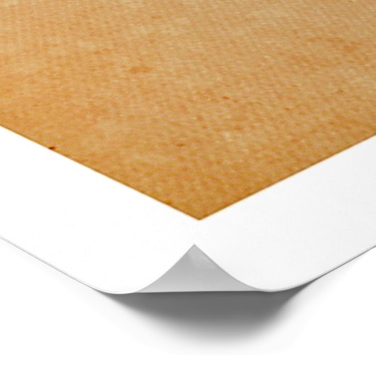 Ich fand eine Million Dollar Baby Poster (Ecke)