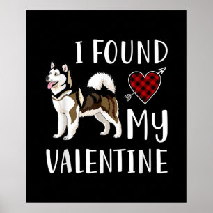 Ich fand meinen Valentinstag Husky Lover Geschen Poster