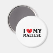 Ich finde mein Maltesisch Magnet (Vorderseite/Rückseite)