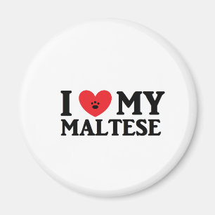 Ich finde mein Maltesisch Magnet