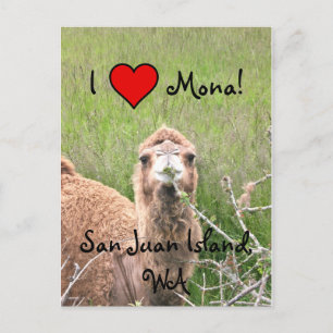 Ich finde Mona toll! Postkarte