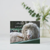 Ich finde's dich voll Schaf! Postkarte (Stehend Vorderseite)