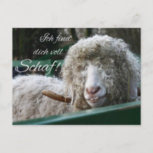 Ich finde's dich voll Schaf! Postkarte