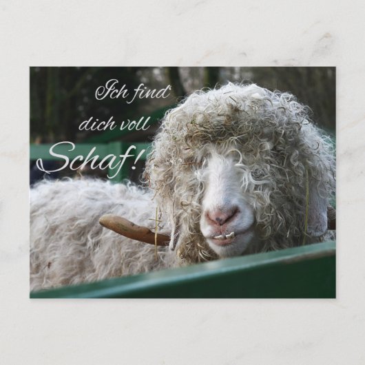 Ich finde's dich voll Schaf! Postkarte (Vorderseite)