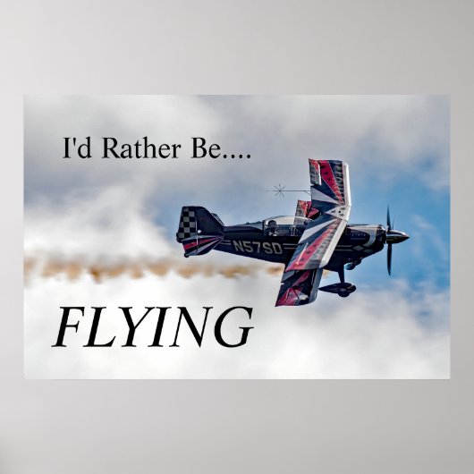 Ich fliege lieber. poster (Vorne)
