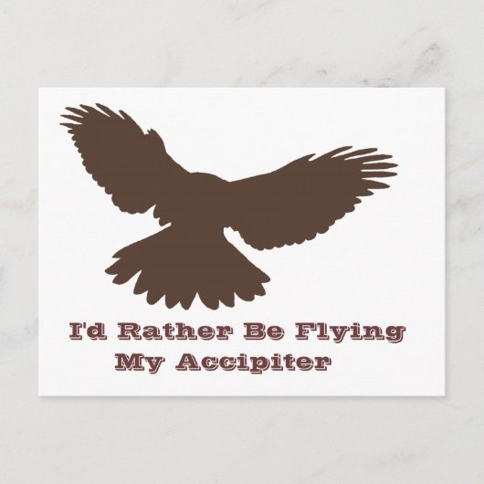 Ich fliege lieber Postkarte (Vorderseite)