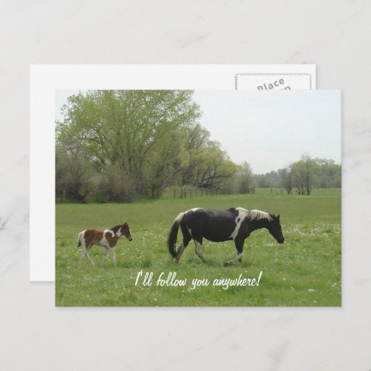 Ich folge Ihnen auf Postkarte (Vorne/Hinten)