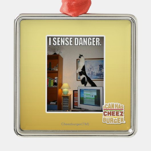 Ich frage Gefahr ab Ornament Aus Metall (Vorne)