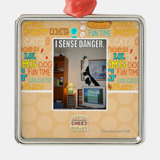 Ich frage Gefahr ab Silbernes Ornament (Vorne)