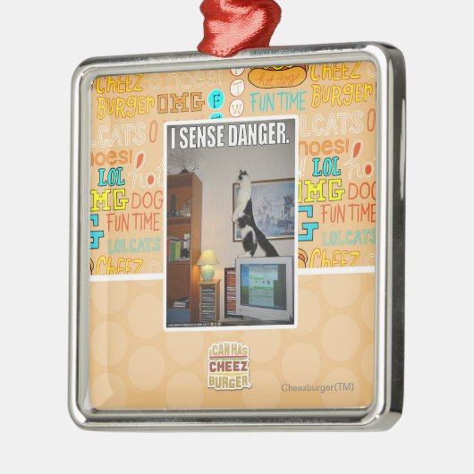 Ich frage Gefahr ab Silbernes Ornament (Links)