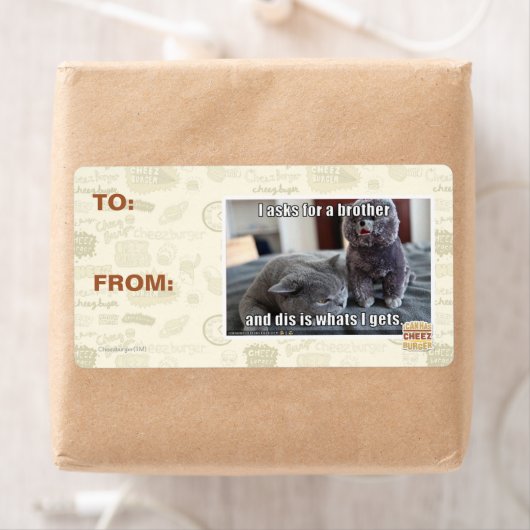 Ich fragte für einen Bruder (Insitu)