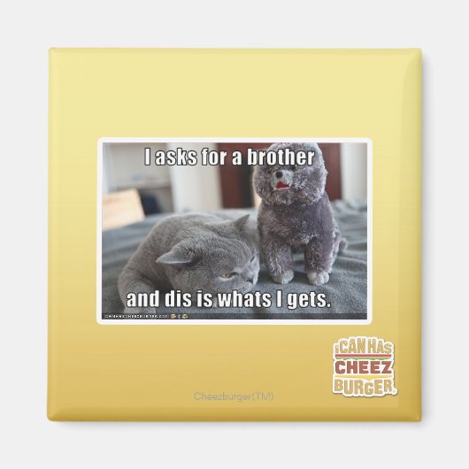 Ich fragte für einen Bruder Magnet (Vorne)