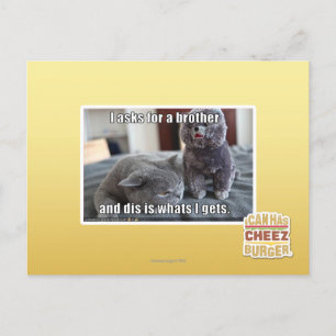 Ich fragte für einen Bruder Postkarte