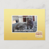 Ich fragte für einen Bruder Postkarte (Vorderseite)