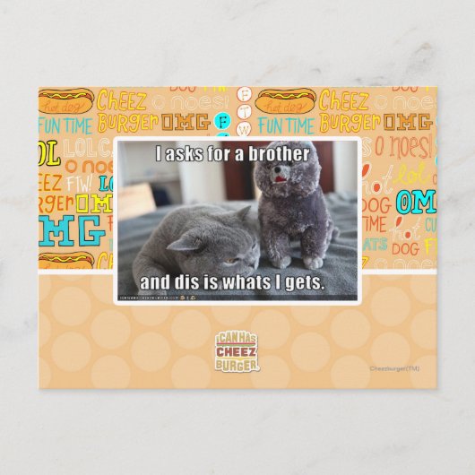 Ich fragte für einen Bruder Postkarte (Vorderseite)