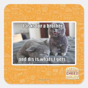Ich fragte für einen Bruder Quadratischer Aufkleber