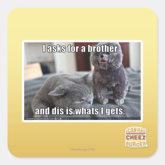 Ich fragte für einen Bruder Quadratischer Aufkleber (Vorderseite)