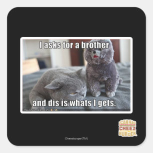 Ich fragte für einen Bruder Quadratischer Aufkleber