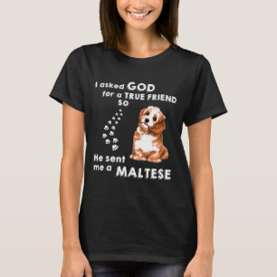 Ich Fragte Gott für einen echten Freund, den er mi T-Shirt
