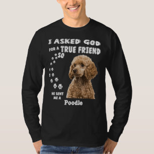 Ich Fragte Gott für einen wahren Freund, also schi T-Shirt