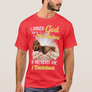Ich fragte Gott für einen wahren Freund, also schi T-Shirt