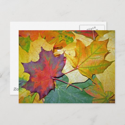 Ich freue mich, zusammen zu sein postkarte (Vorne/Hinten)