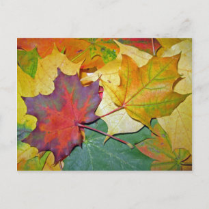 Ich freue mich, zusammen zu sein postkarte