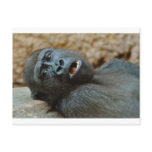 "Ich fühle mich so müde