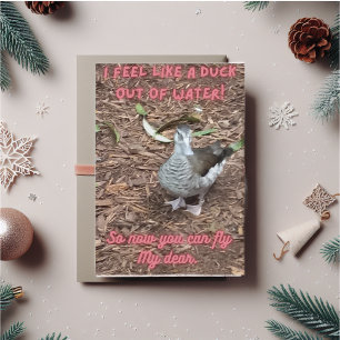 Ich fühle mich wie eine Ente außer Wasser inspirie