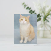 Ich gebe auf postkarte (Stehend Vorderseite)