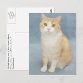 Ich gebe auf postkarte (Vorne/Hinten)