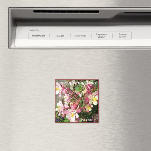 "Ich gebe dir meinen Frieden!" Magnet (In Situ (Geschirrspüler))