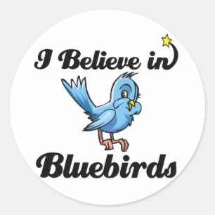 Ich glaube an Bluebirds Runder Aufkleber