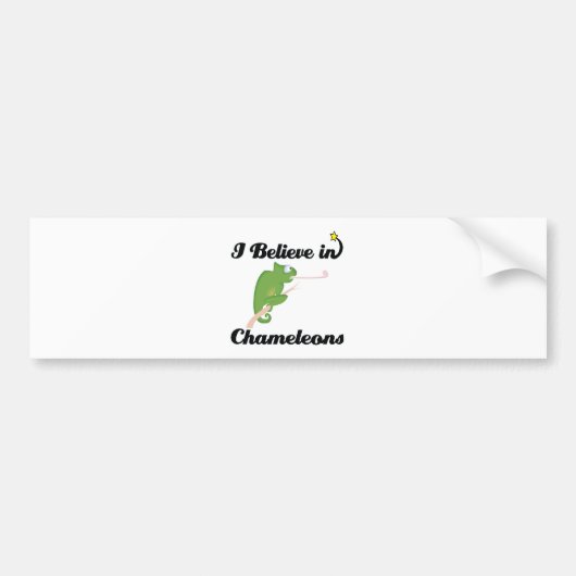 Ich glaube an Chamäleons Autoaufkleber (Vorne)