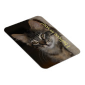 Ich glaube an Ihr Cat Magnet (Rechte Seite)