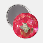 Ich glaube an Santa Paws Magnet (Vorderseite/Rückseite)