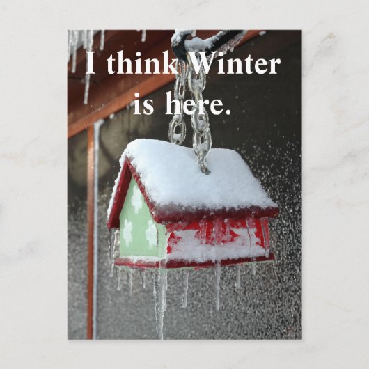 Ich glaube, der Winter ist hier. Postkarte (Vorderseite)