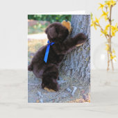 Ich glaube, ich kann karte (Gelbe Blume)