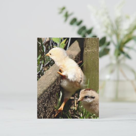 Ich glaube, ich kann postkarte (Stehend Vorderseite)